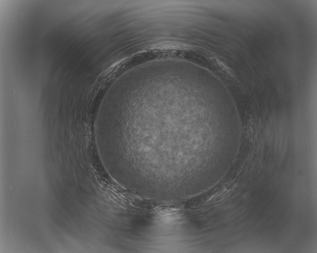 X0000058800821200509301205