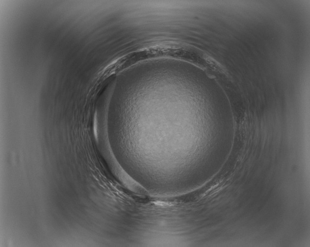 X0000058800822200509301205