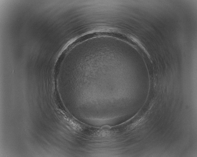 X0000058800829200509301205