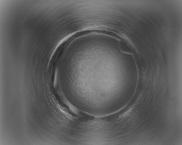 X0000058800830200509301205
