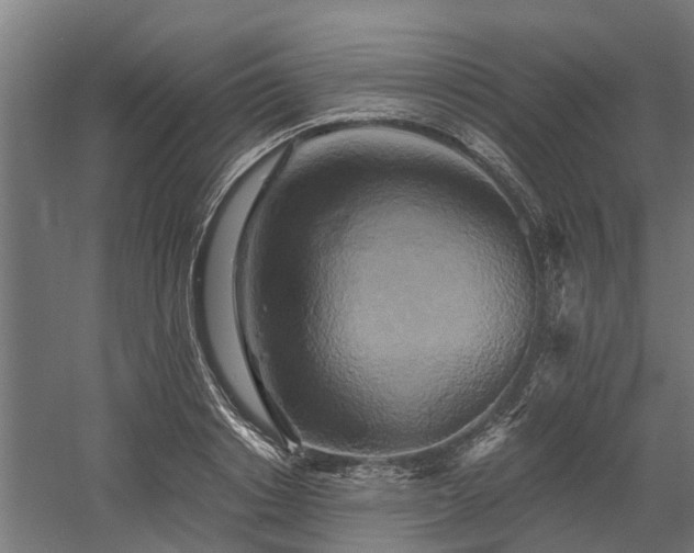 X0000058800842200509301205