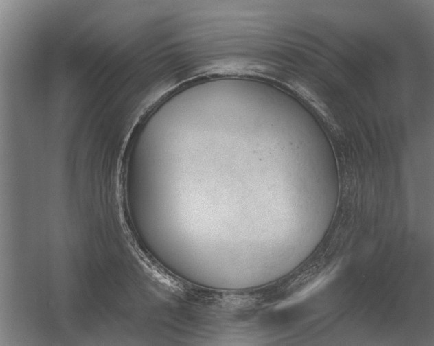 X0000058800848200509301205