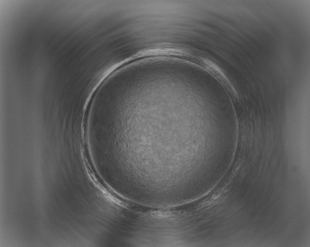 X0000058800852200509301205
