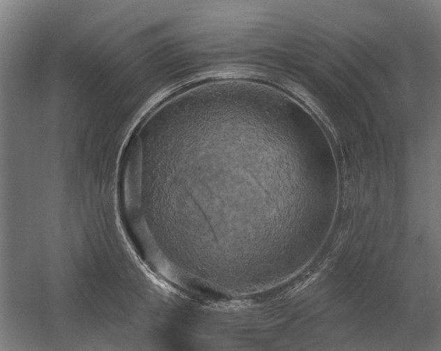 X0000058800853200509301205