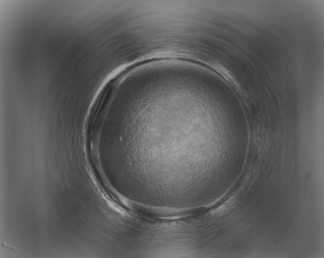 X0000058800854200509301205