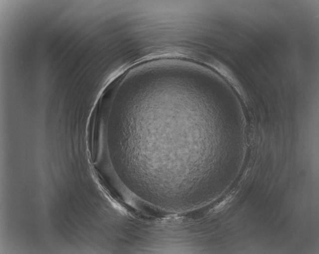 X0000058800858200509301205