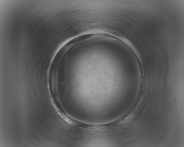 X0000058800862200509301205