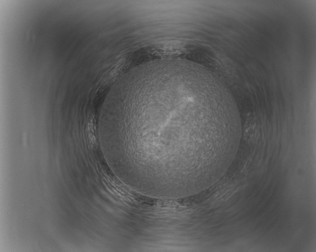 X0000058800866200509301205