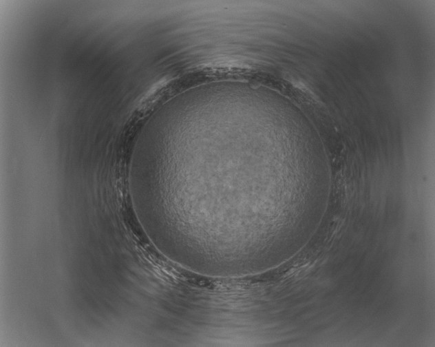 X0000058800870200509301204