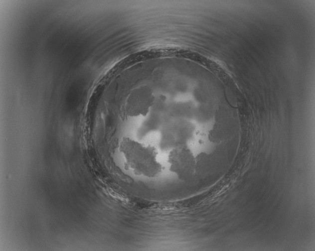 X0000058800871200509301204