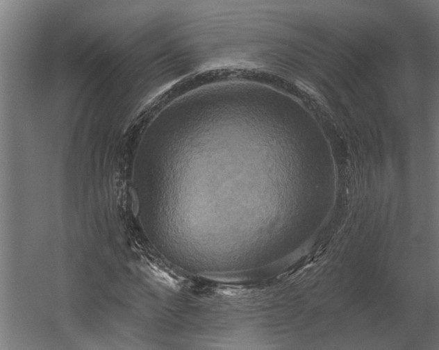 X0000058800872200509301204