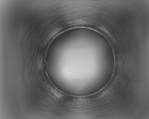 X0000058800873200509301204