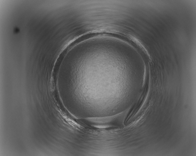 X0000058800876200509301204