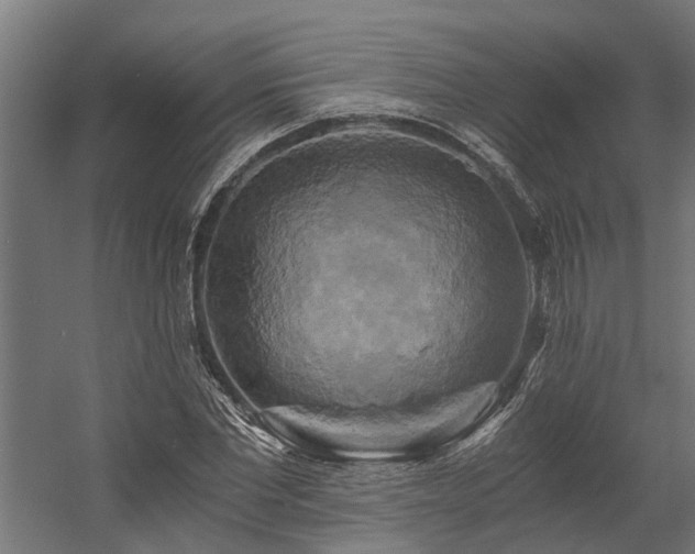 X0000058800877200509301204