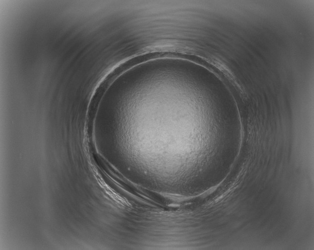 X0000058800880200509301204