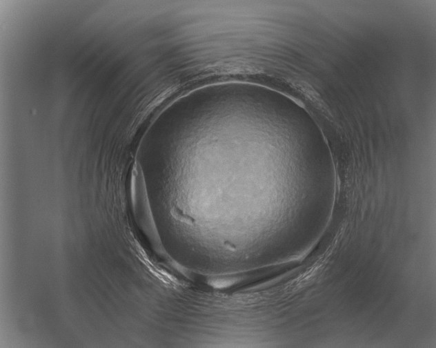 X0000058800881200509301204