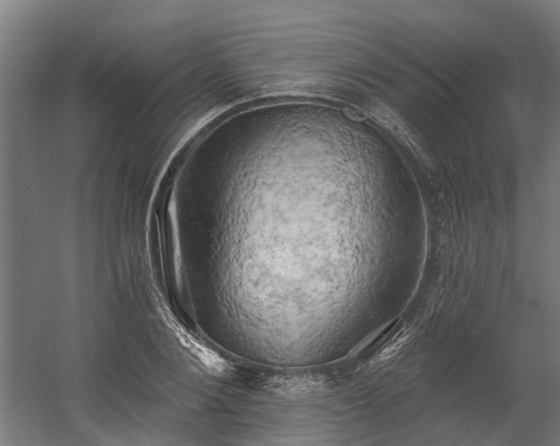 X0000058800884200509301204