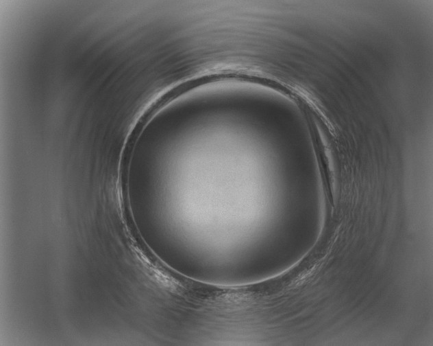 X0000058800888200509301204
