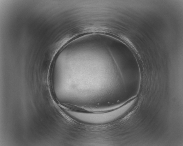 X0000058800893200509301204