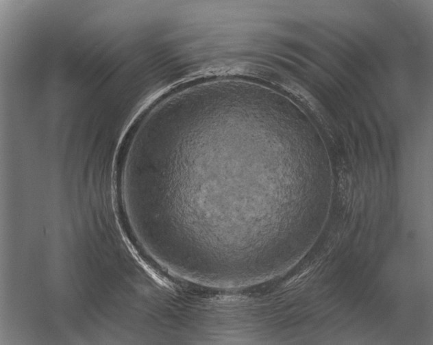 X0000058800894200509301204