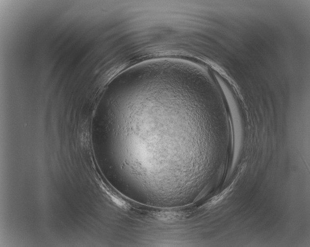 X0000058800897200509301204