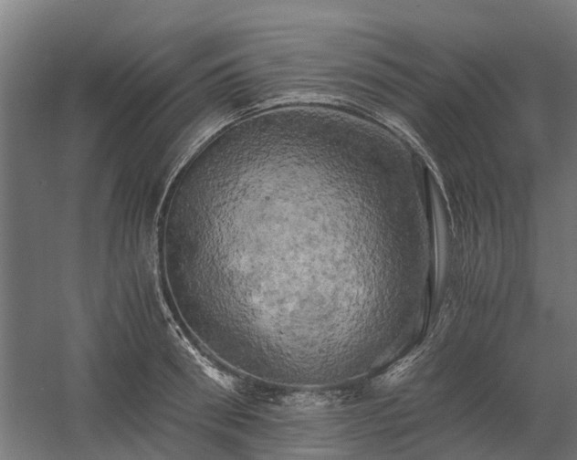 X0000058800898200509301204