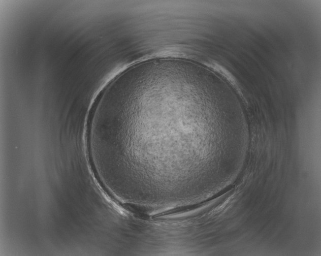X0000058800902200509301204