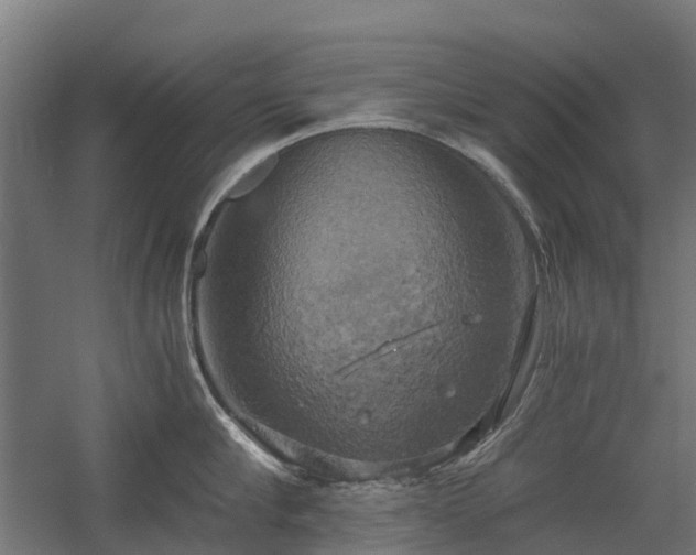 X0000058800910200509301204