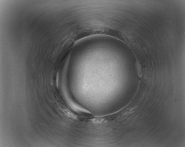 X0000058800916200509301203