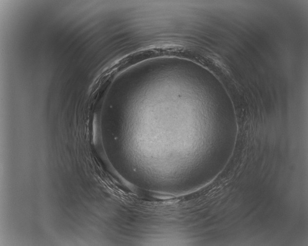 X0000058800920200509301203
