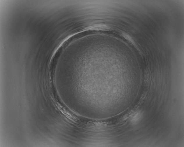 X0000058800923200509301203