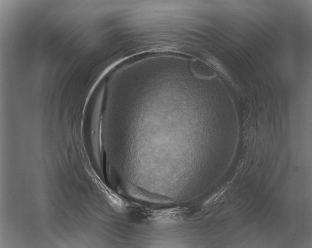 X0000058800932200509301203