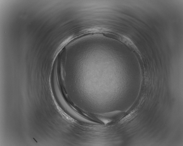 X0000058800946200509301204
