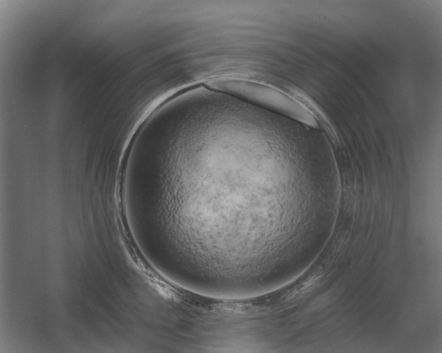 X0000058800956200509301204