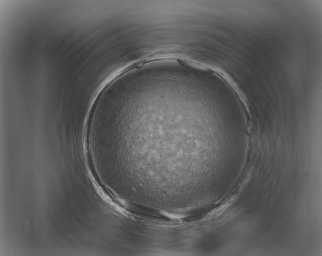 X0000058800957200509301204