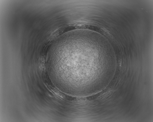 X0000058800964200509301203