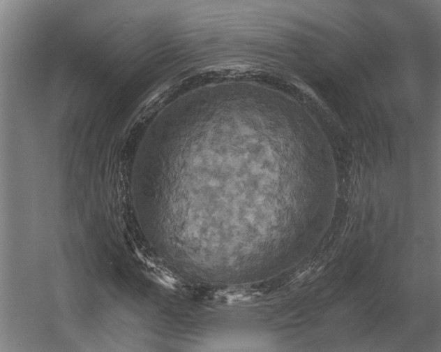 X0000058800967200509301203
