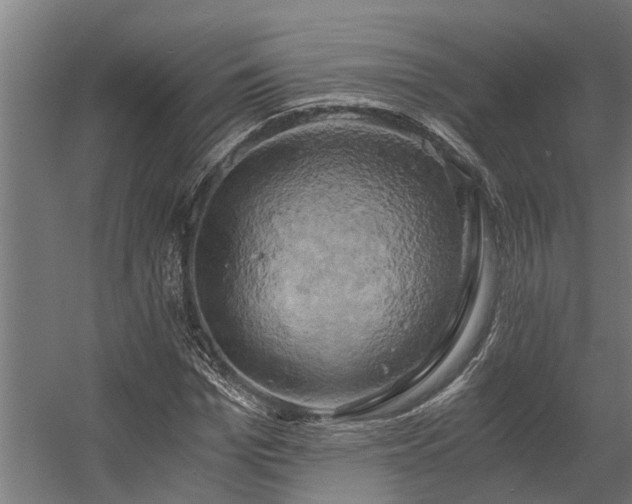 X0000058800969200509301203