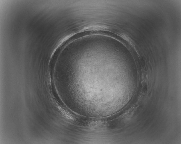 X0000058800973200509301203