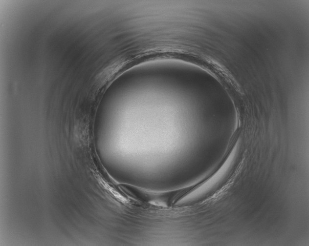 X0000058800977200509301203