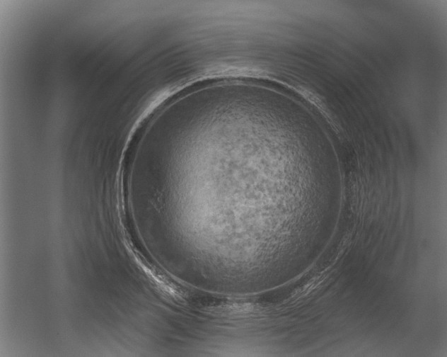 X0000058800982200509301203