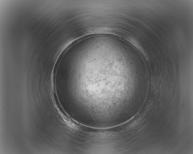 X0000058800988200509301202