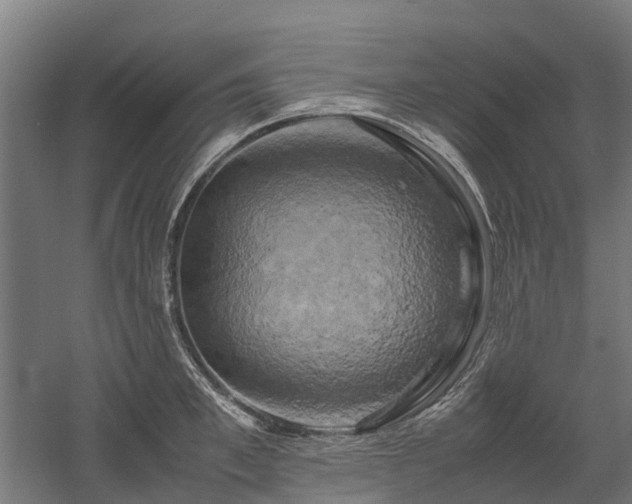 X0000058800997200509301202