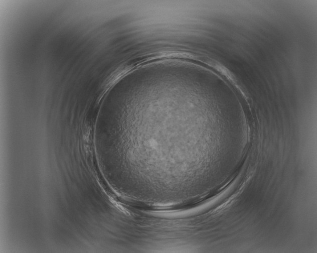 X0000058801001200509301202