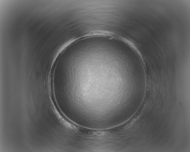 X0000058801003200509301202
