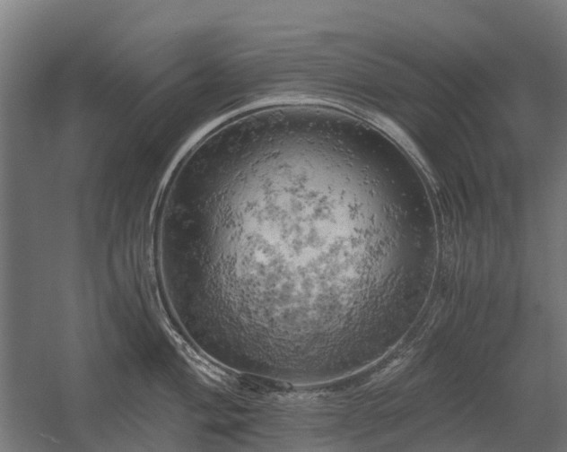 X0000058801004200509301202