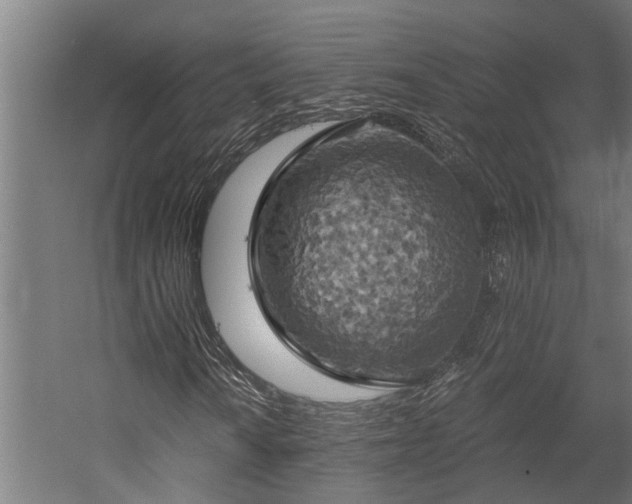 X0000058801010200509301201