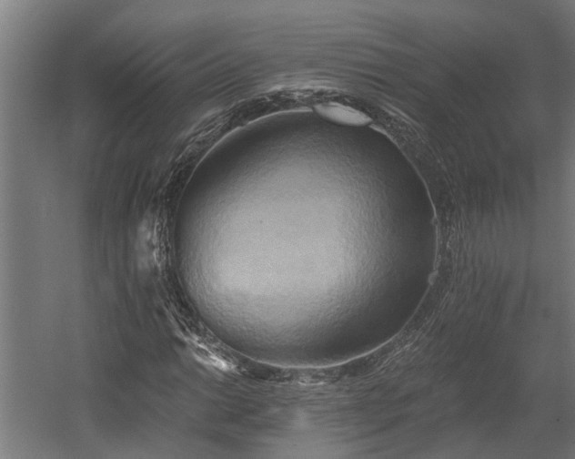 X0000058801014200509301201