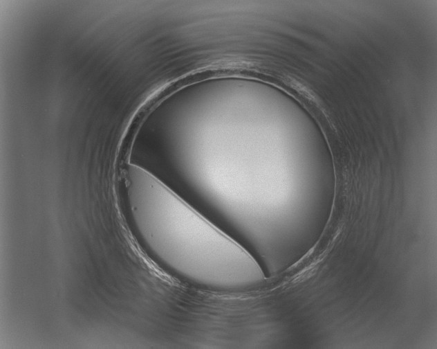 X0000058801029200509301202