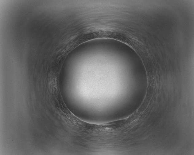 X0000058801061200509301201